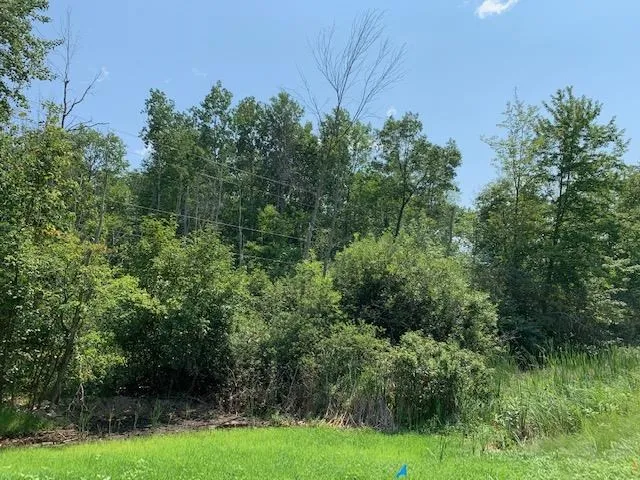 S Huron Sims Township, MI 48703