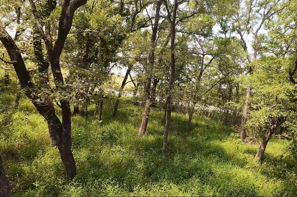199 CR 152 Riesel, TX 76682