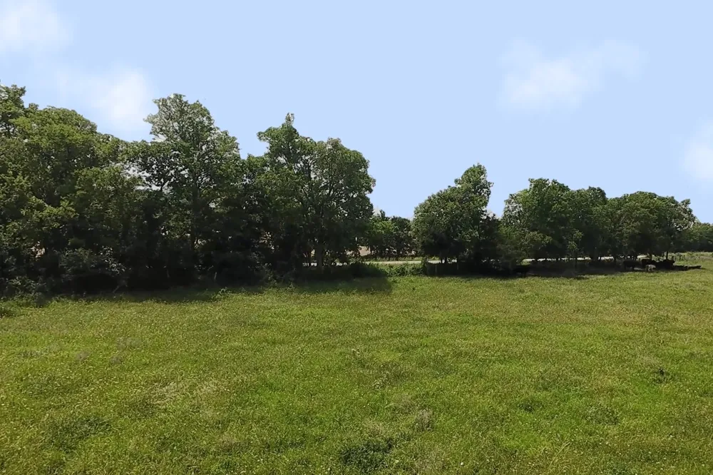 199 CR 152 Riesel, TX 76682