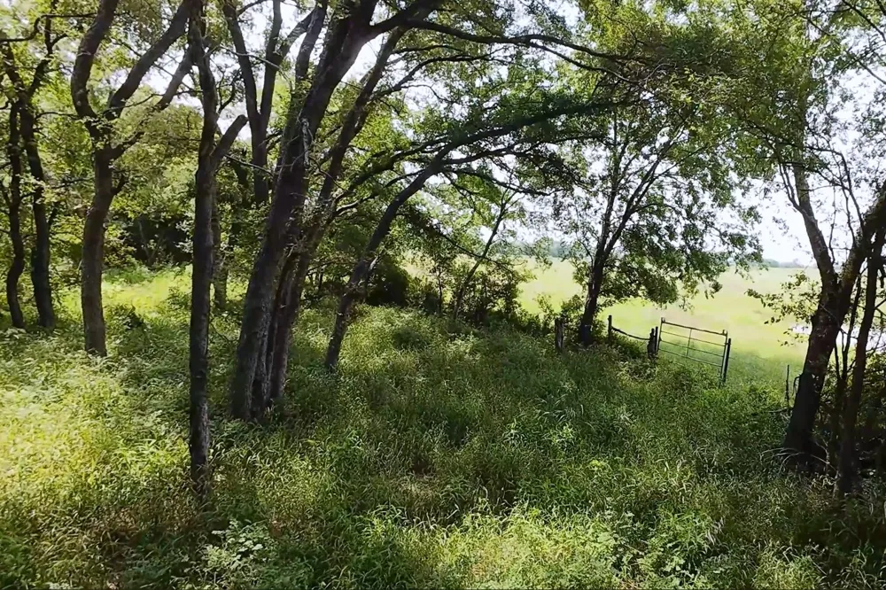 199 CR 152 Riesel, TX 76682