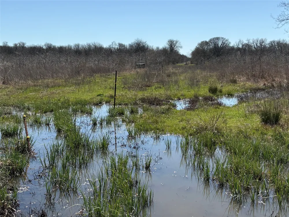 County Road 3502 Sulphur Springs, TX 75482