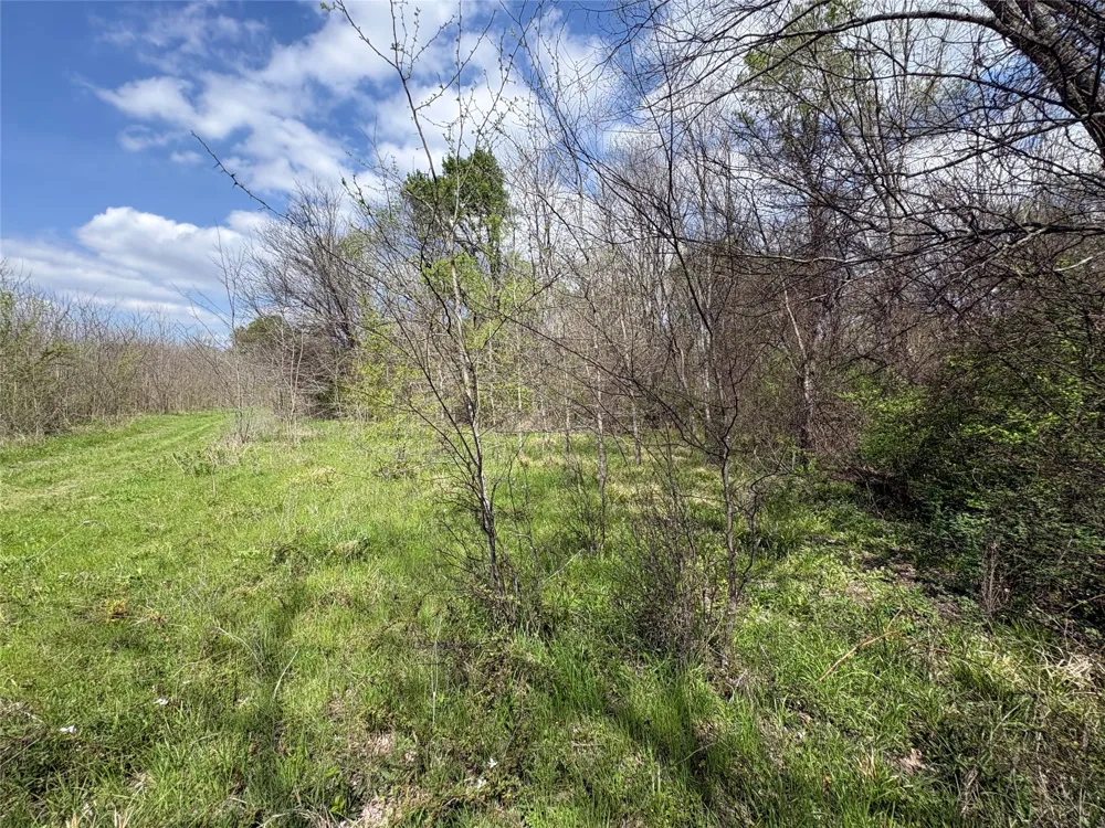 County Road 3502 Sulphur Springs, TX 75482