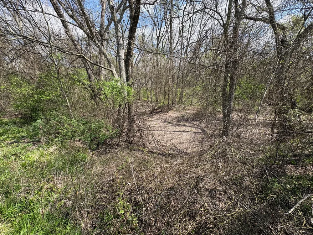 County Road 3502 Sulphur Springs, TX 75482