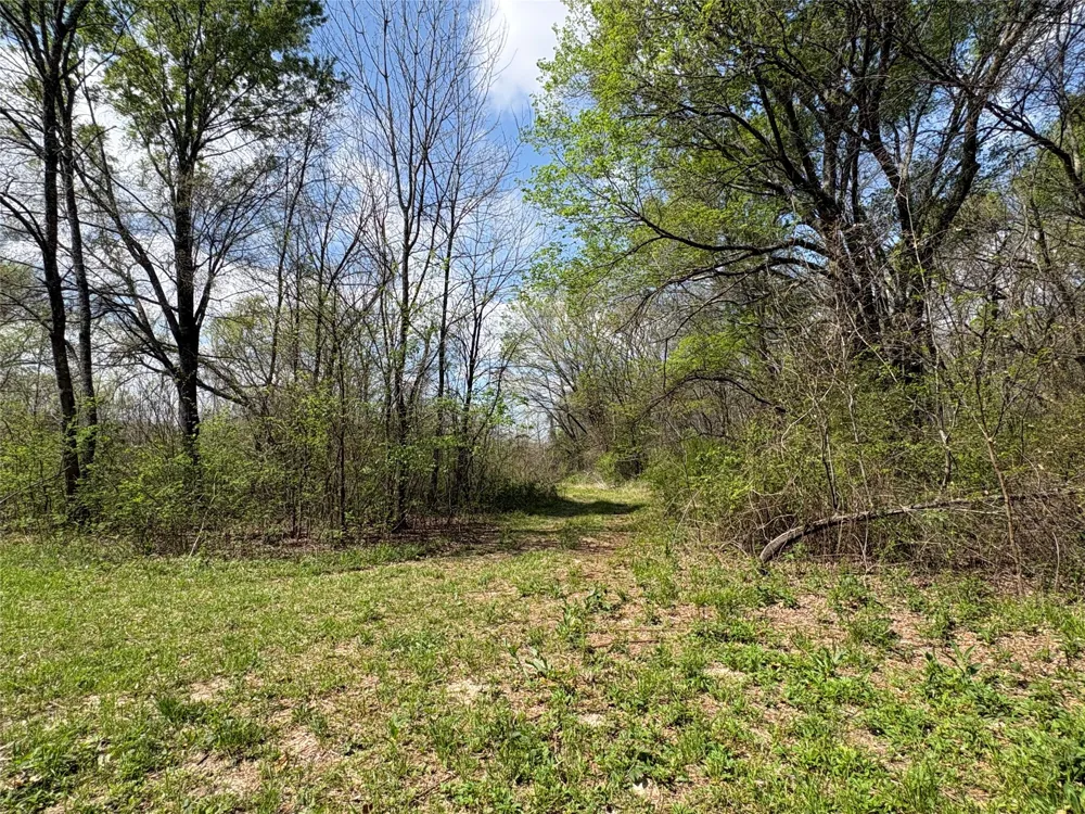 County Road 3502 Sulphur Springs, TX 75482