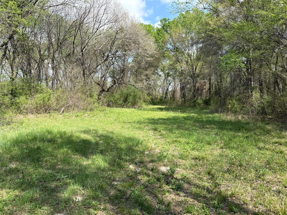 County Road 3502 Sulphur Springs, TX 75482