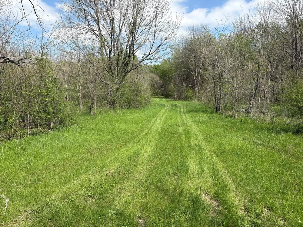 County Road 3502 Sulphur Springs, TX 75482