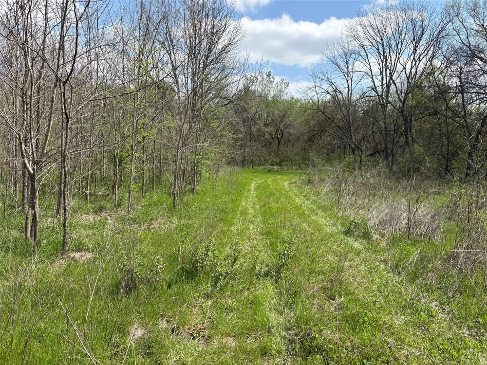 County Road 3502 Sulphur Springs, TX 75482
