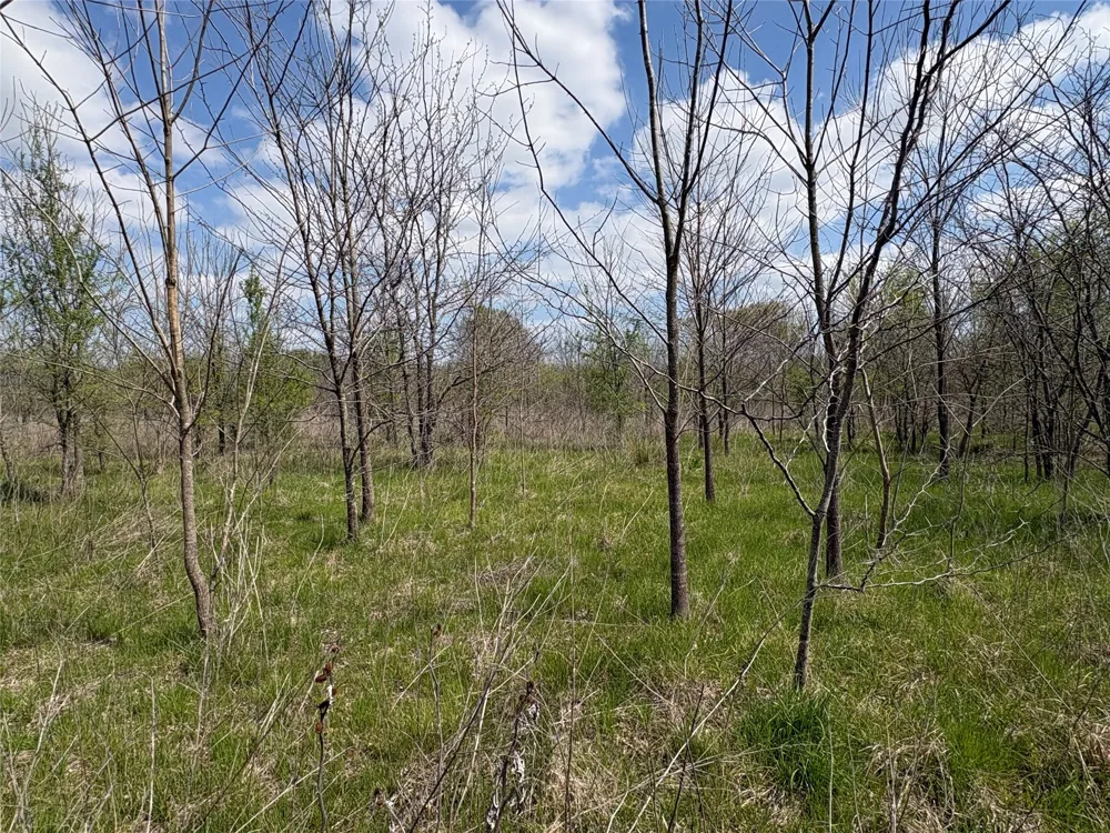County Road 3502 Sulphur Springs, TX 75482
