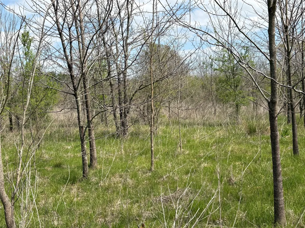 County Road 3502 Sulphur Springs, TX 75482