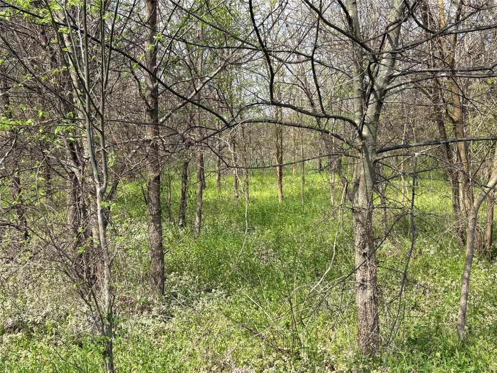 County Road 3502 Sulphur Springs, TX 75482