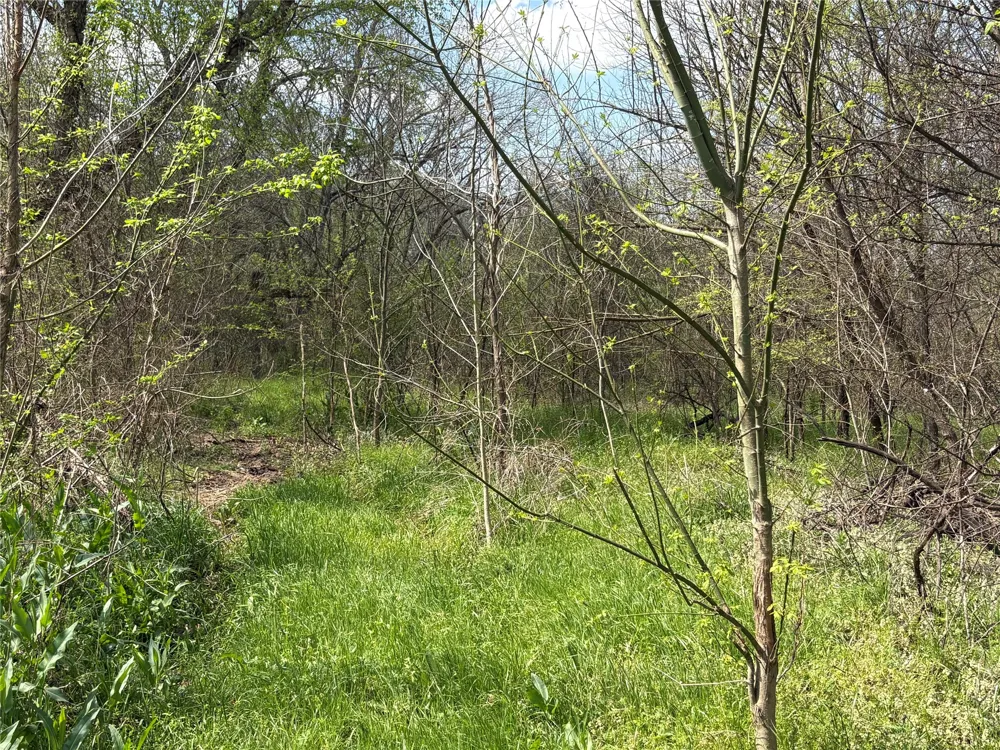 County Road 3502 Sulphur Springs, TX 75482