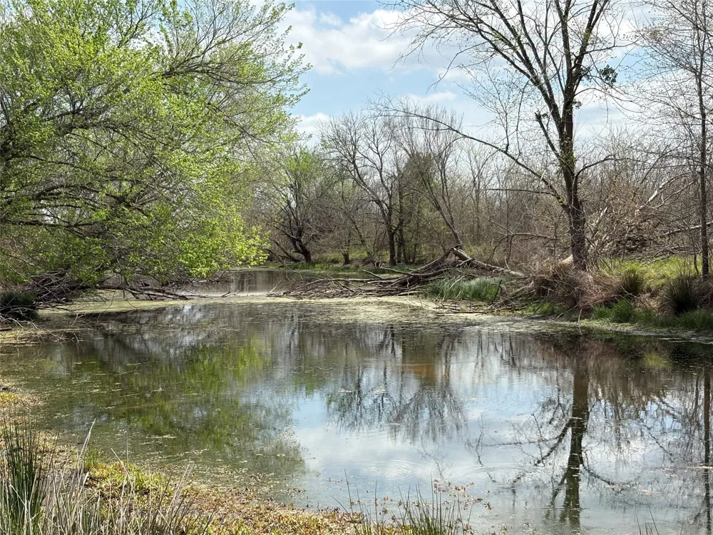County Road 3502 Sulphur Springs, TX 75482