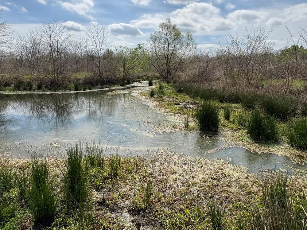 County Road 3502 Sulphur Springs, TX 75482