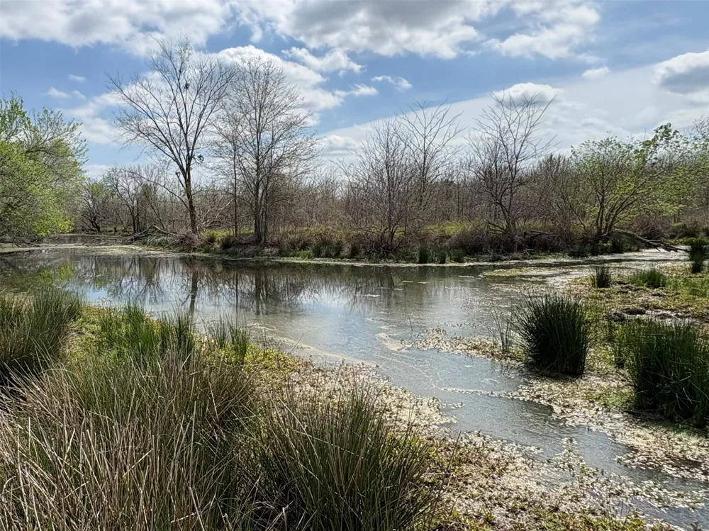 County Road 3502 Sulphur Springs, TX 75482