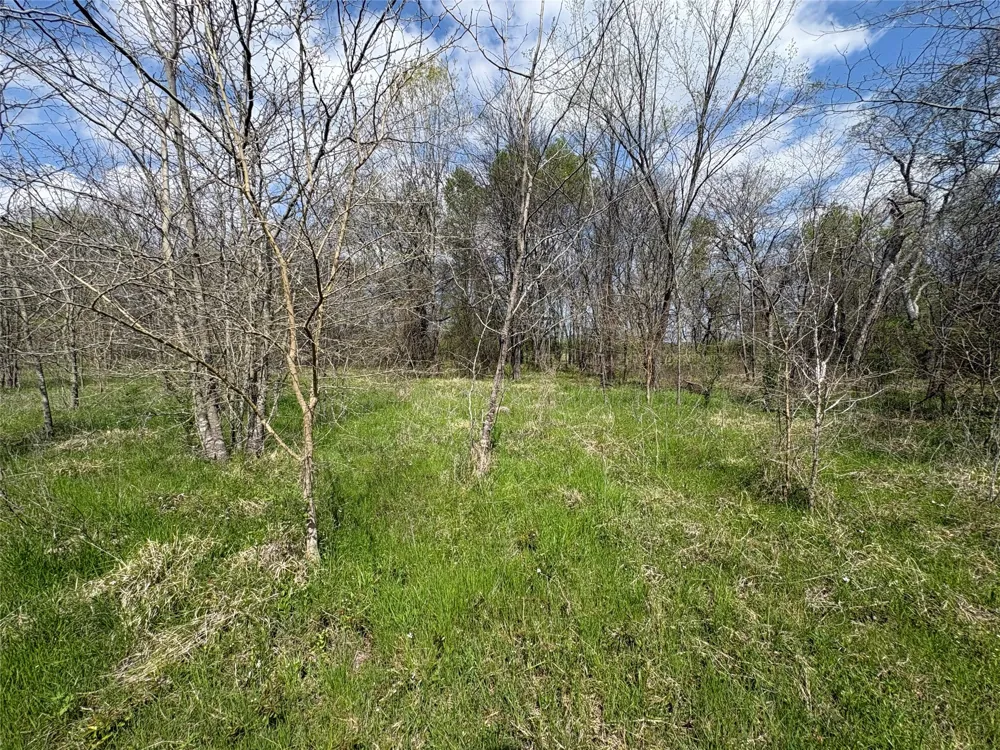 County Road 3502 Sulphur Springs, TX 75482