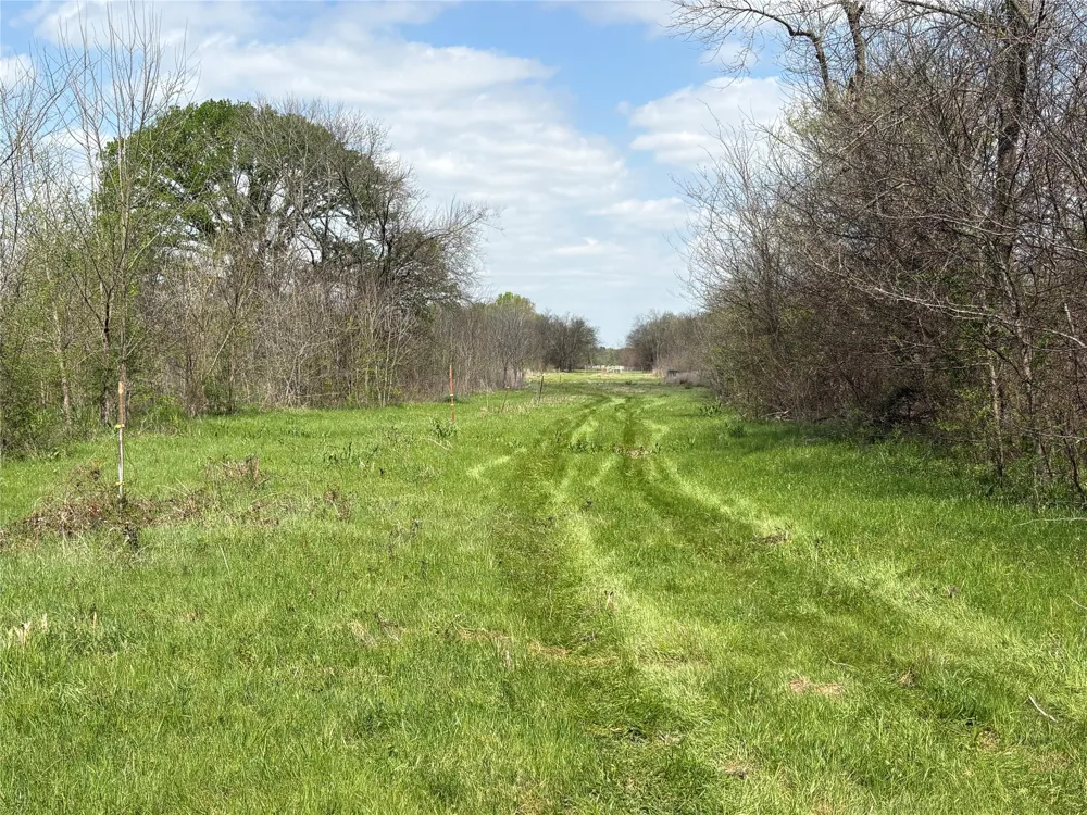 County Road 3502 Sulphur Springs, TX 75482