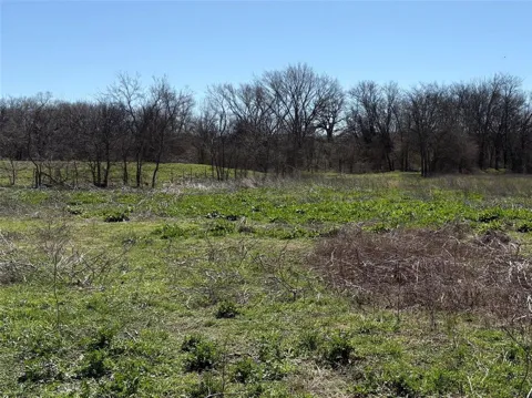 County Road 3502