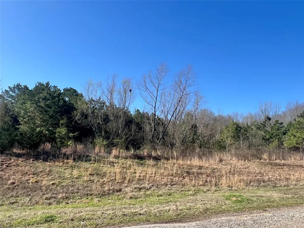 CR 1400 Mt Pleasant, TX 75455
