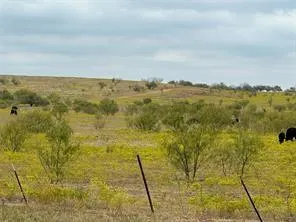 Fm 2164 Sanger, TX 76266
