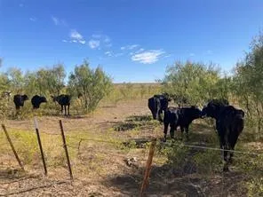 Fm 2164 Sanger, TX 76266