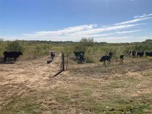 Fm 2164 Sanger, TX 76266