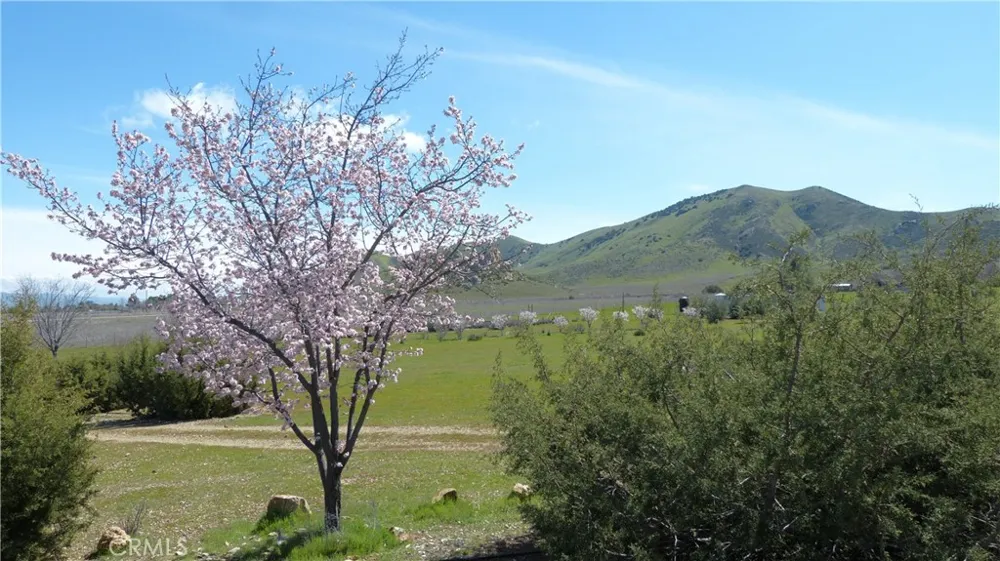 14451 Dorris Road Santa Margarita, CA 93453