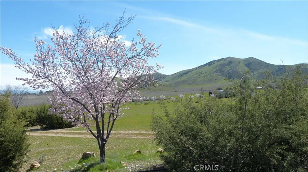 14451 Dorris Road Santa Margarita, CA 93453