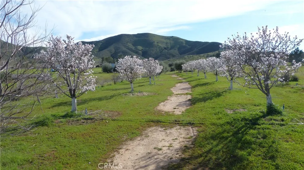 14451 Dorris Road Santa Margarita, CA 93453