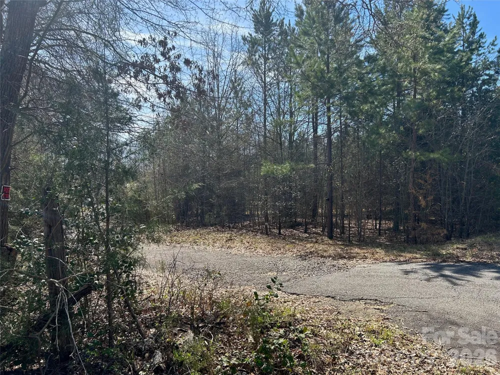 TBD Green Pond Road Indian Land, SC 29707