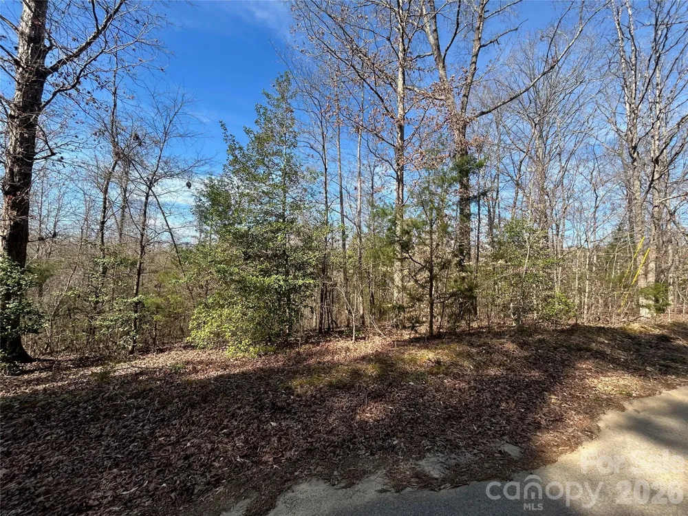 TBD Green Pond Road Indian Land, SC 29707