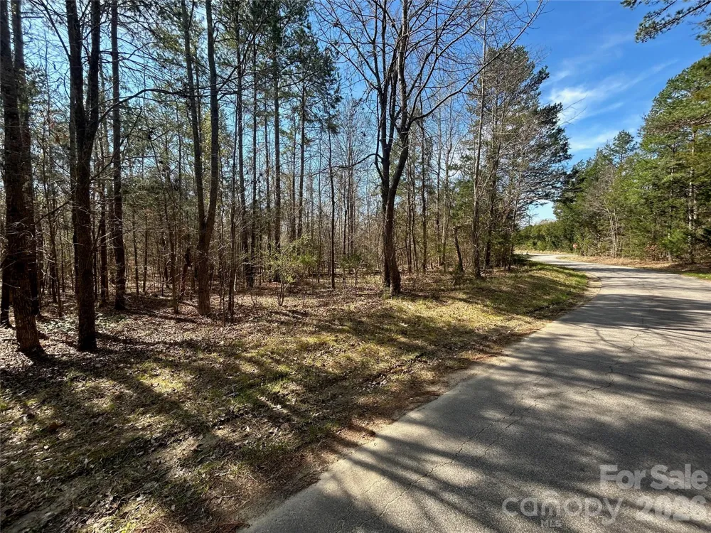 TBD Green Pond Road Indian Land, SC 29707