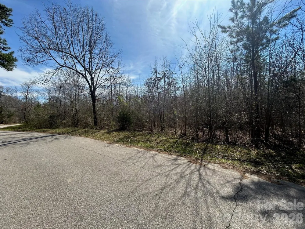 TBD Green Pond Road Indian Land, SC 29707