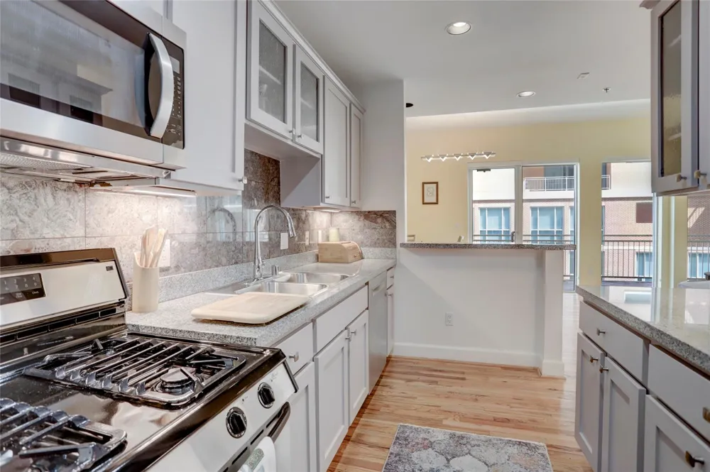 2520 Robinhood Street #1008 Houston, TX 77005
