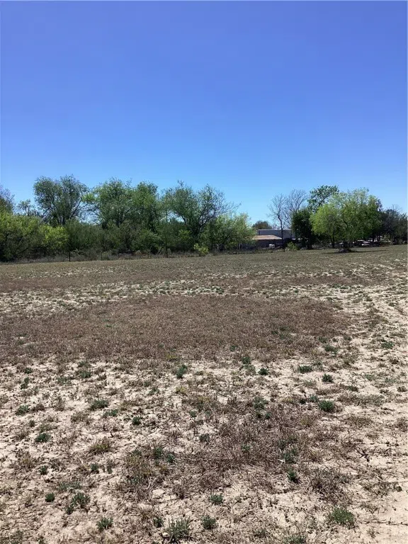 2227 F RD 2295 Benavides, TX 78341
