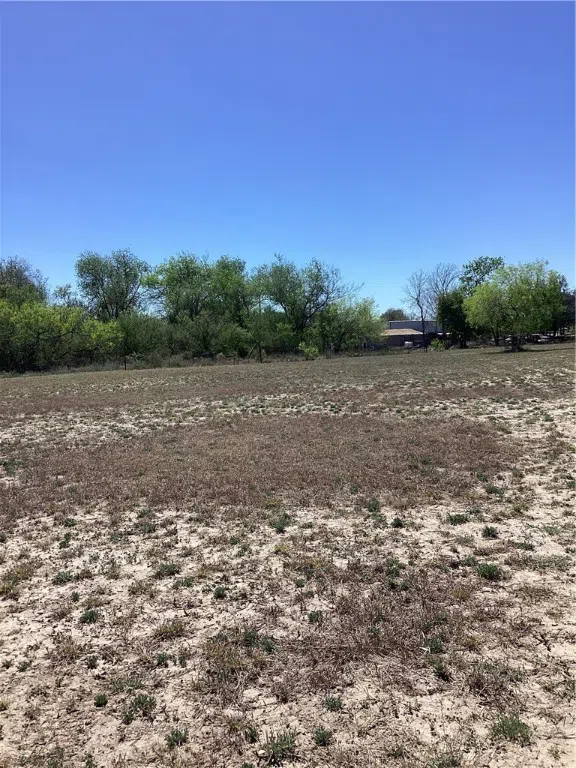 2227 F RD 2295 Benavides, TX 78341