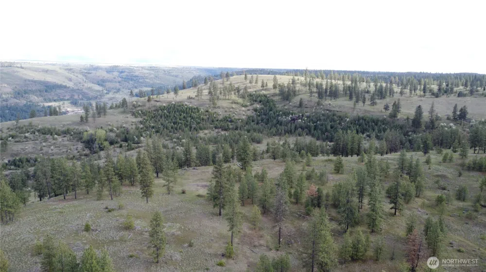 0 XXX Miles Creston Road Davenport, WA 99122