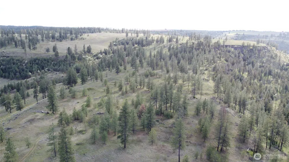 0 XXX Miles Creston Road Davenport, WA 99122