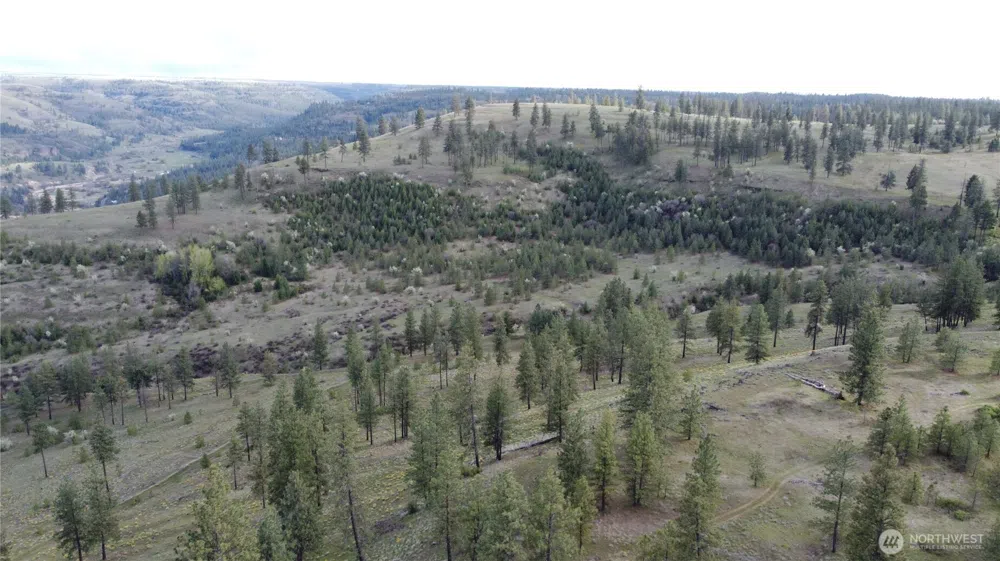 0 XXX Miles Creston Road Davenport, WA 99122