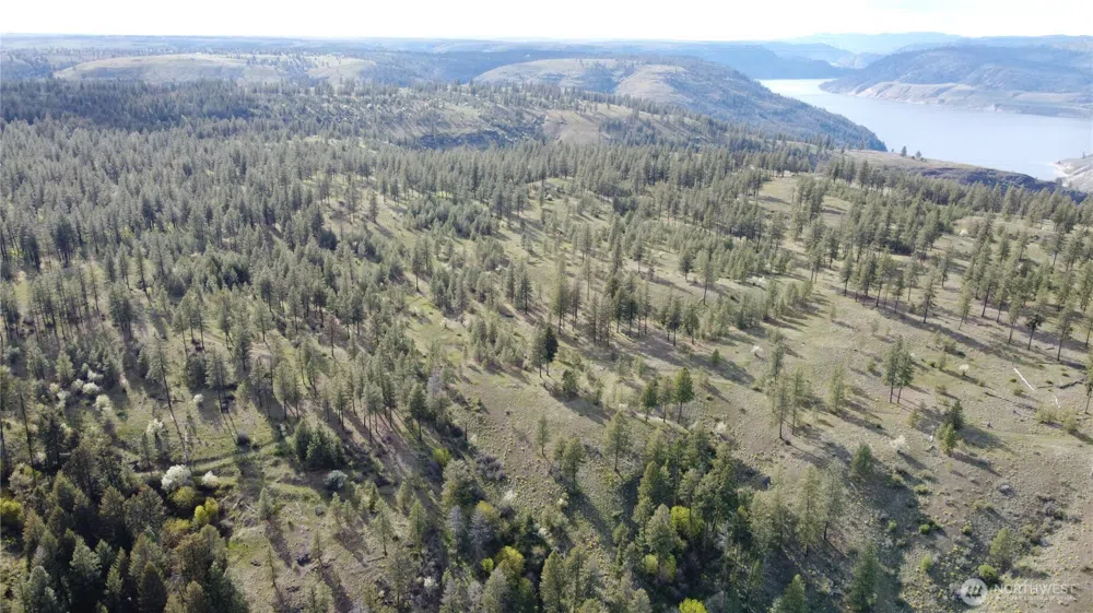 0 XXX Miles Creston Road Davenport, WA 99122