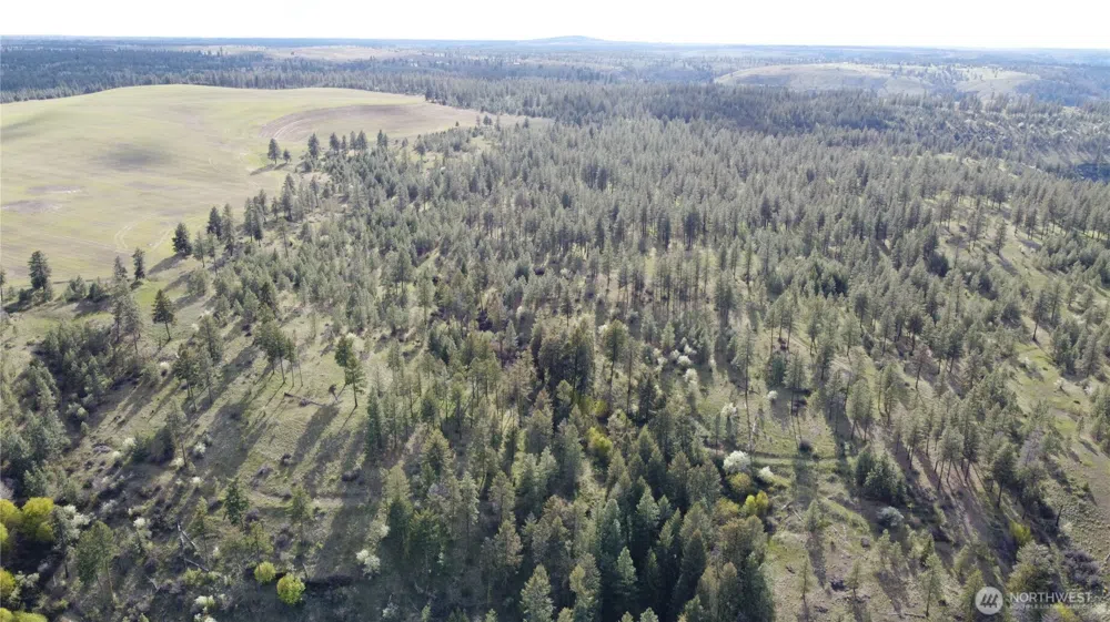 0 XXX Miles Creston Road Davenport, WA 99122