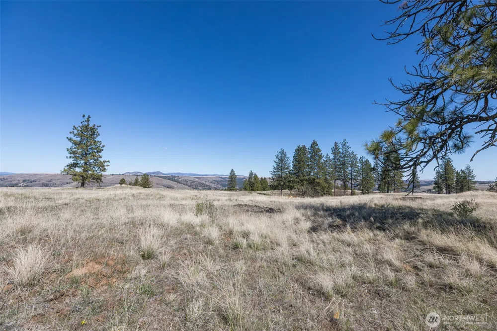 0 XXX Miles Creston Road Davenport, WA 99122