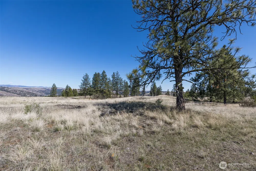0 XXX Miles Creston Road Davenport, WA 99122