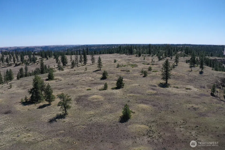 0 XXX Miles Creston Road Davenport, WA 99122