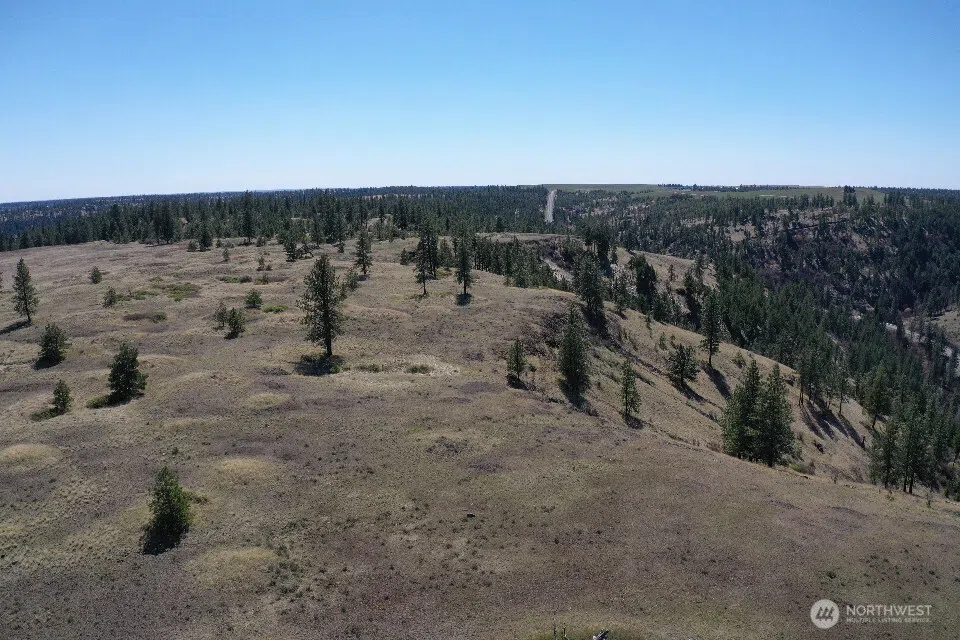 0 XXX Miles Creston Road Davenport, WA 99122
