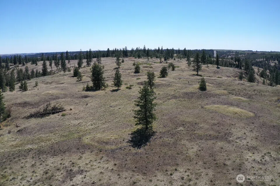 0 XXX Miles Creston Road Davenport, WA 99122