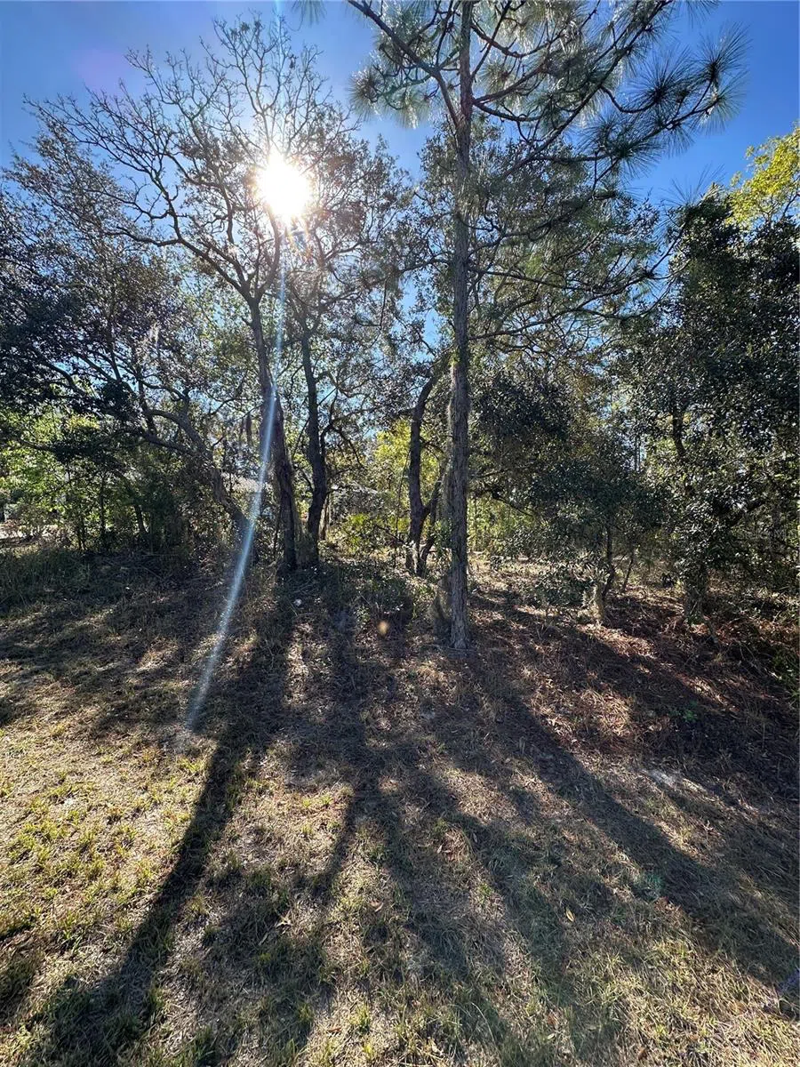 7 SWEETBAY COURT Homosassa, FL 34446
