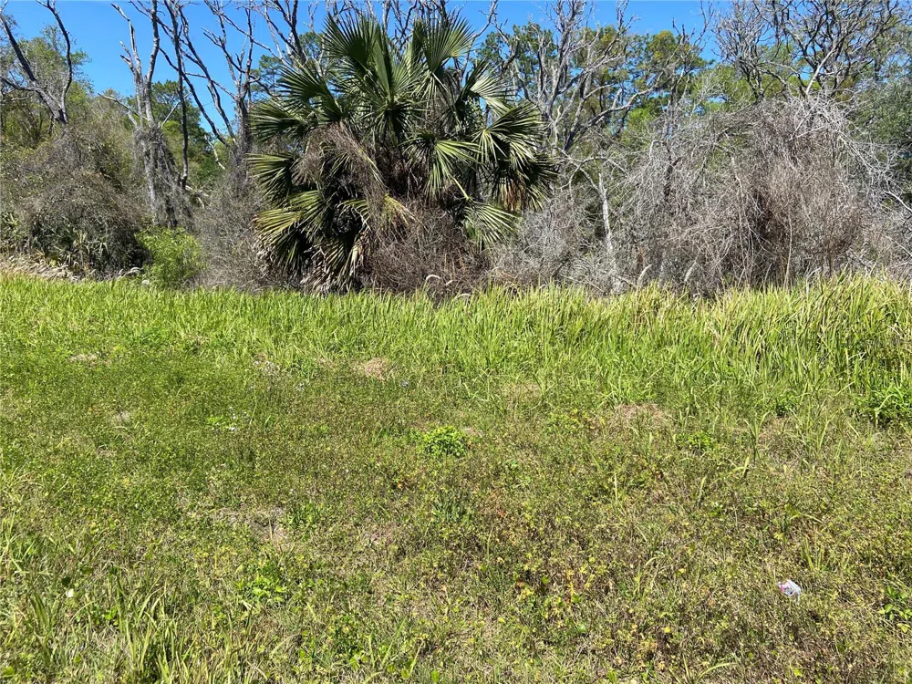 PARCEL 27 15 30 00 00 0160 De Leon Springs, FL 32130