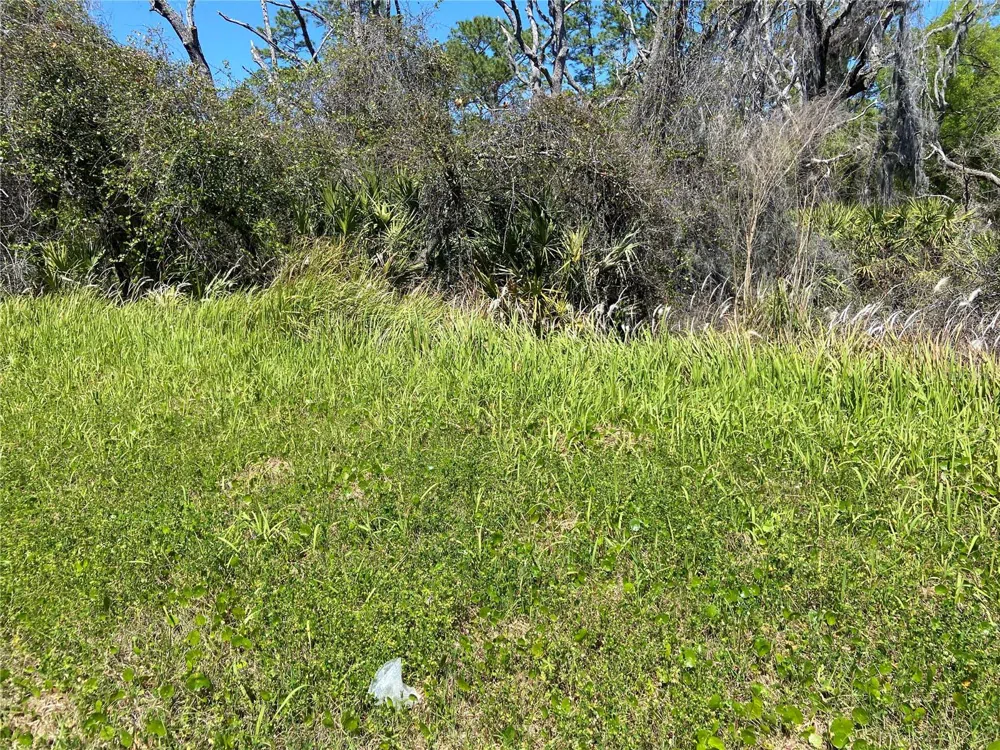 PARCEL 27 15 30 00 00 0160 De Leon Springs, FL 32130
