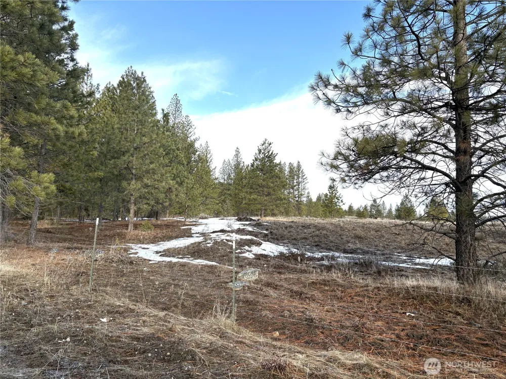 0 Tamarack Road Tonasket, WA 98855