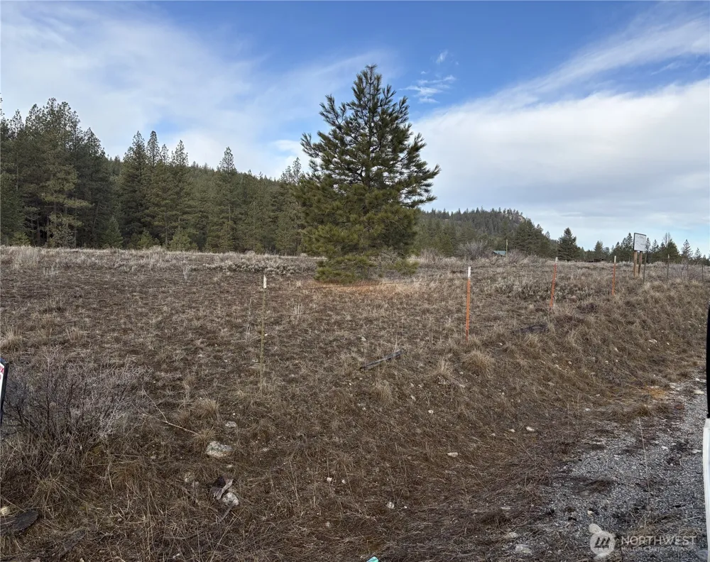 0 Tamarack Road Tonasket, WA 98855
